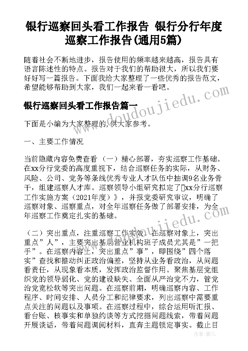 银行巡察回头看工作报告 银行分行年度巡察工作报告(通用5篇)