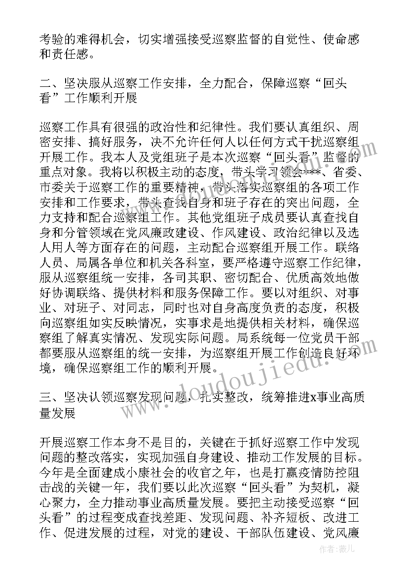 银行巡察回头看工作报告 银行分行年度巡察工作报告(通用5篇)