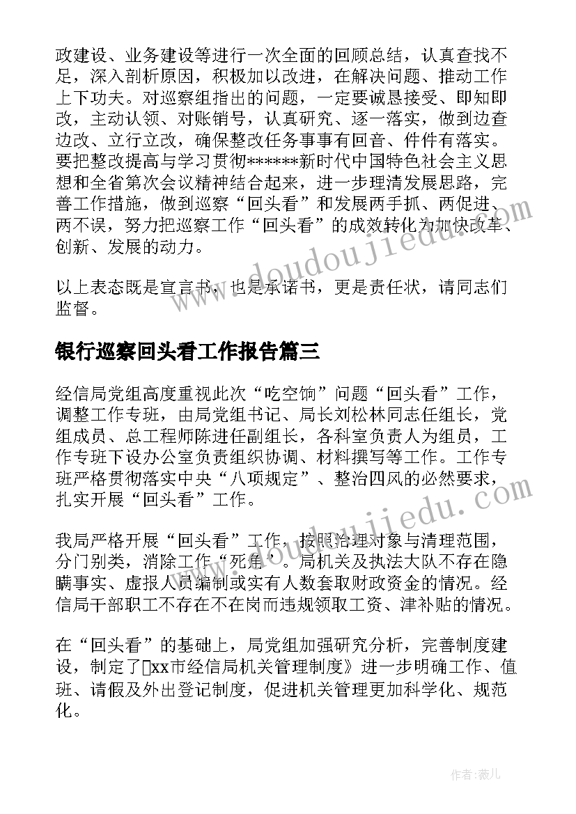 银行巡察回头看工作报告 银行分行年度巡察工作报告(通用5篇)