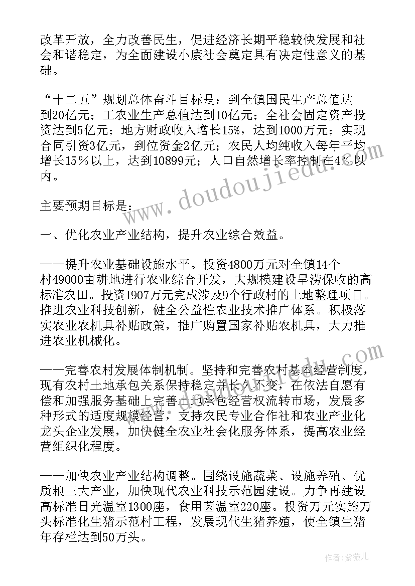 县统计局工作总结 镇政府工作报告(模板5篇)