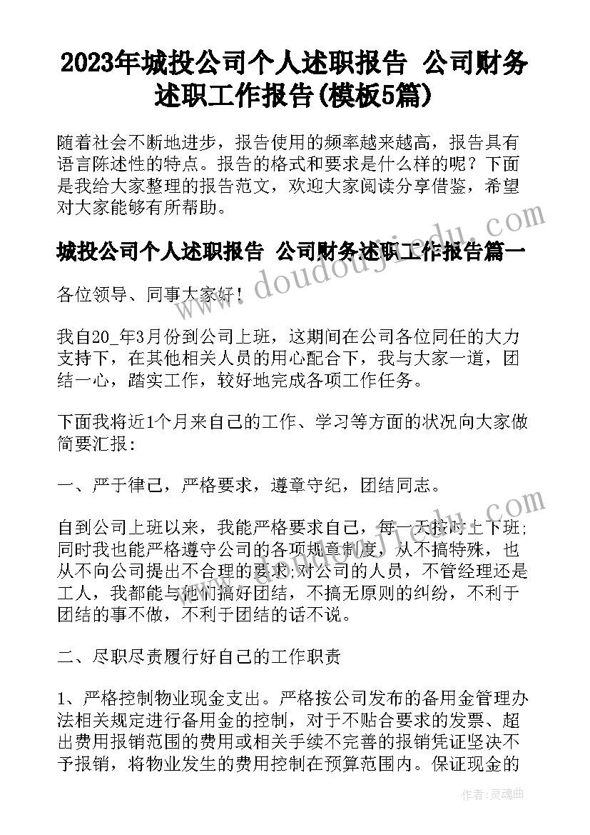 2023年城投公司个人述职报告 公司财务述职工作报告(模板5篇)