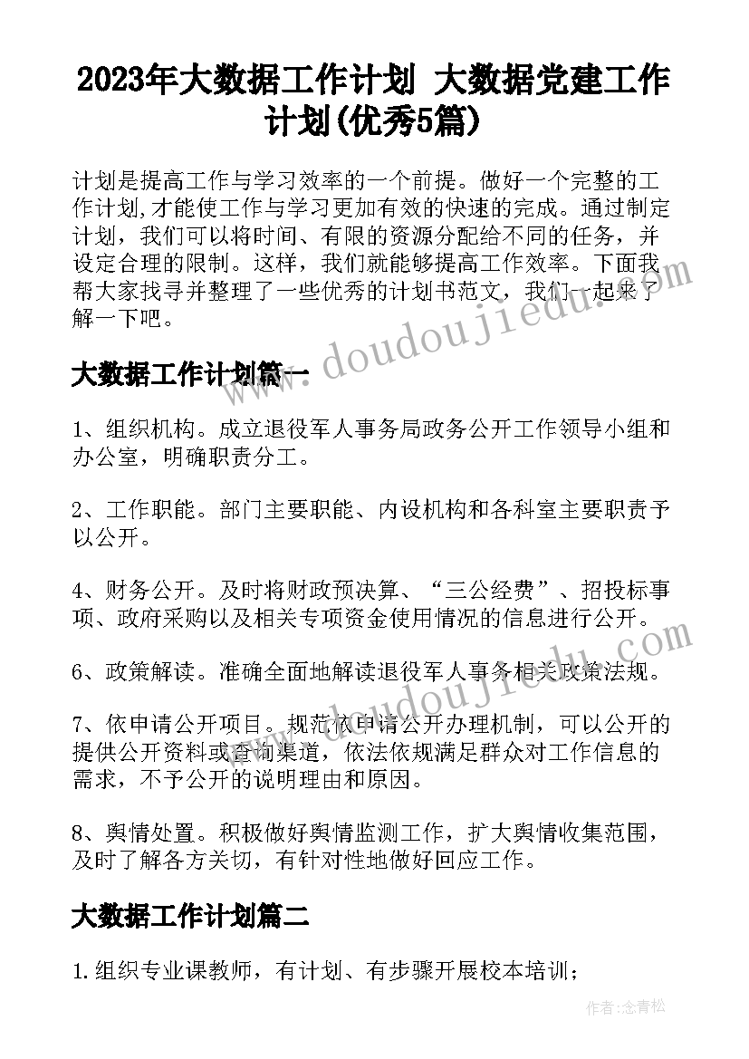 2023年大数据工作计划 大数据党建工作计划(优秀5篇)