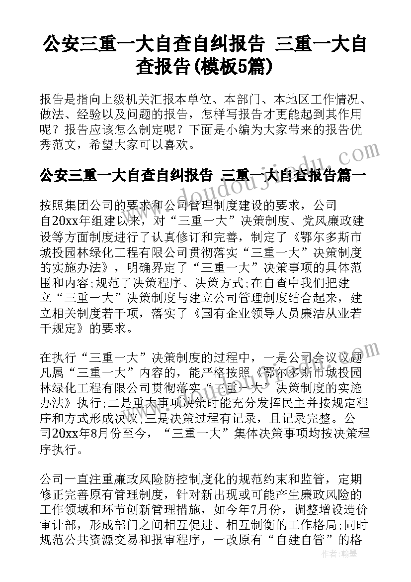 公安三重一大自查自纠报告 三重一大自查报告(模板5篇)