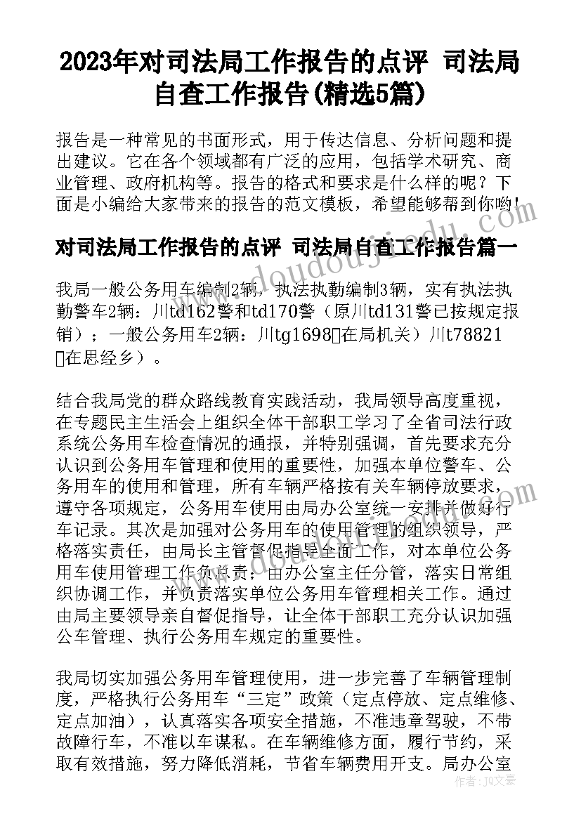 2023年对司法局工作报告的点评 司法局自查工作报告(精选5篇)