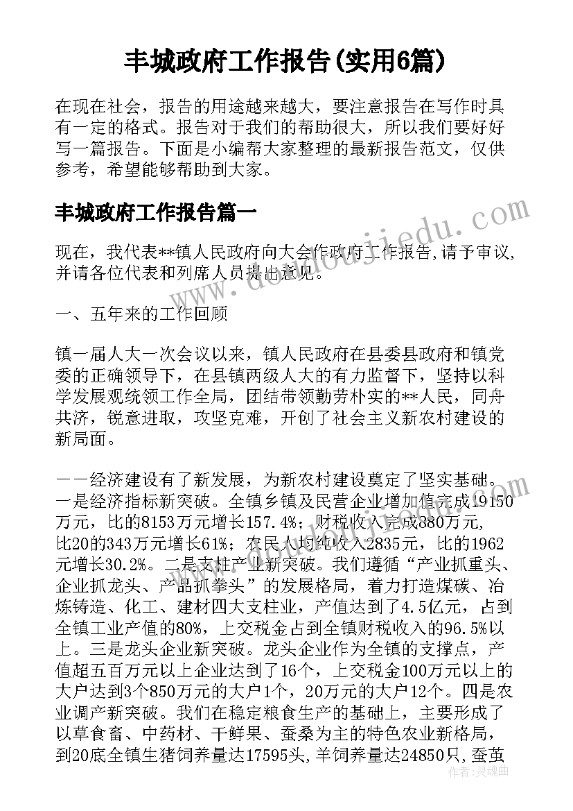 丰城政府工作报告(实用6篇)