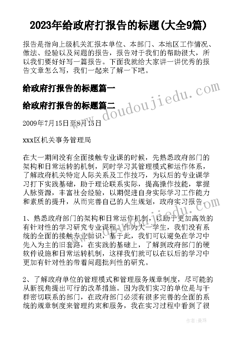 2023年给政府打报告的标题(大全9篇)