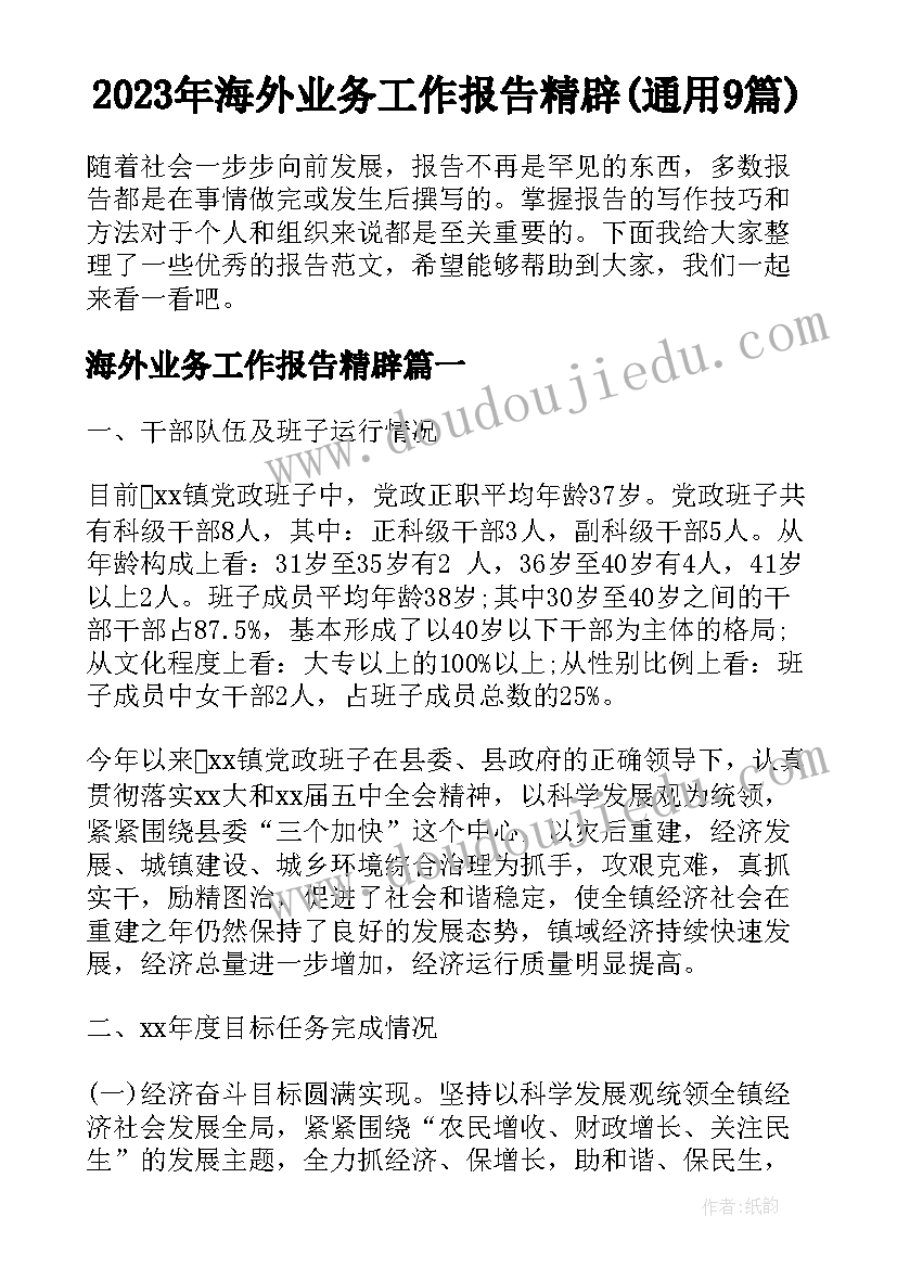 2023年海外业务工作报告精辟(通用9篇)