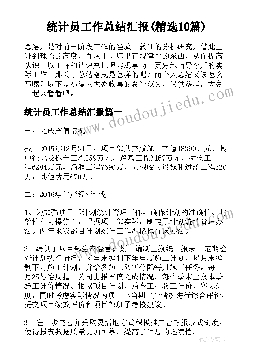 统计员工作总结汇报(精选10篇)