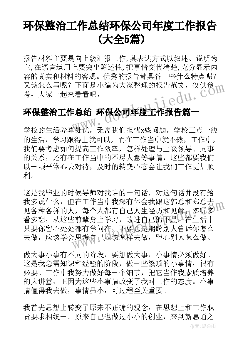 环保整治工作总结 环保公司年度工作报告(大全5篇)