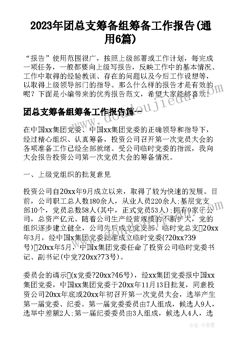 2023年团总支筹备组筹备工作报告(通用6篇)