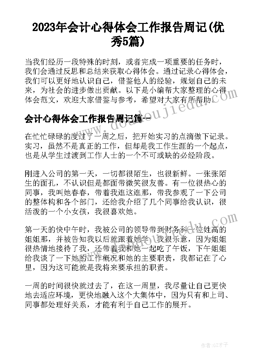 2023年会计心得体会工作报告周记(优秀5篇)