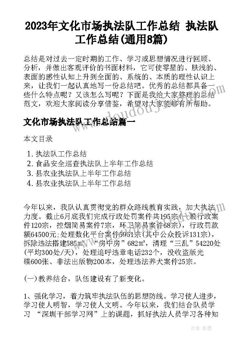 2023年文化市场执法队工作总结 执法队工作总结(通用8篇)