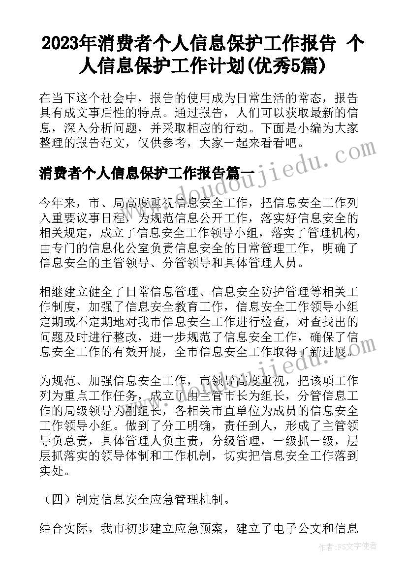 2023年消费者个人信息保护工作报告 个人信息保护工作计划(优秀5篇)