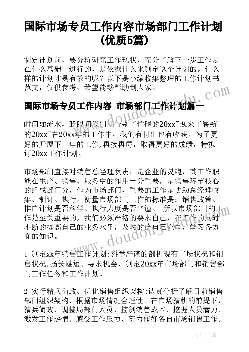 国际市场专员工作内容 市场部门工作计划(优质5篇)