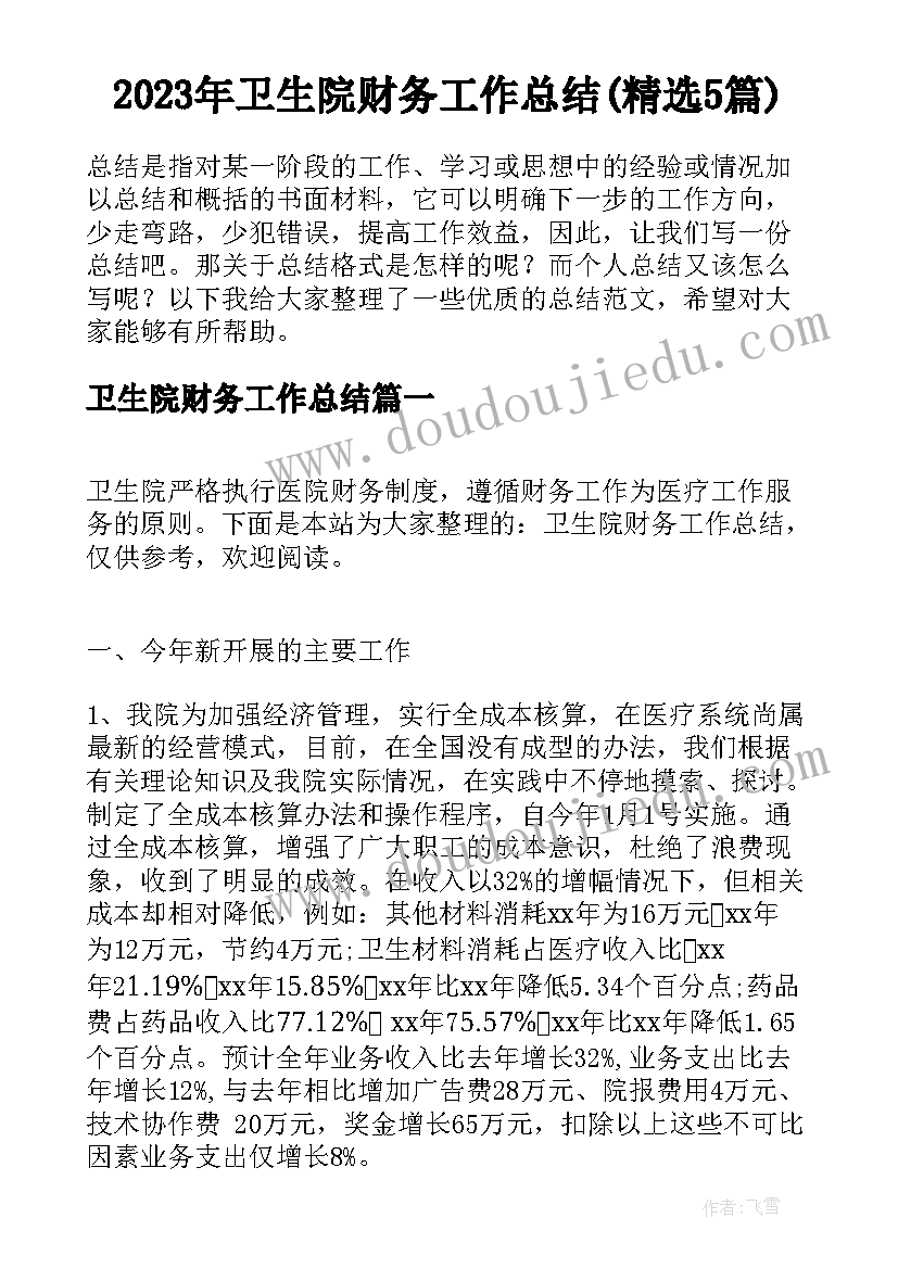 2023年卫生院财务工作总结(精选5篇)