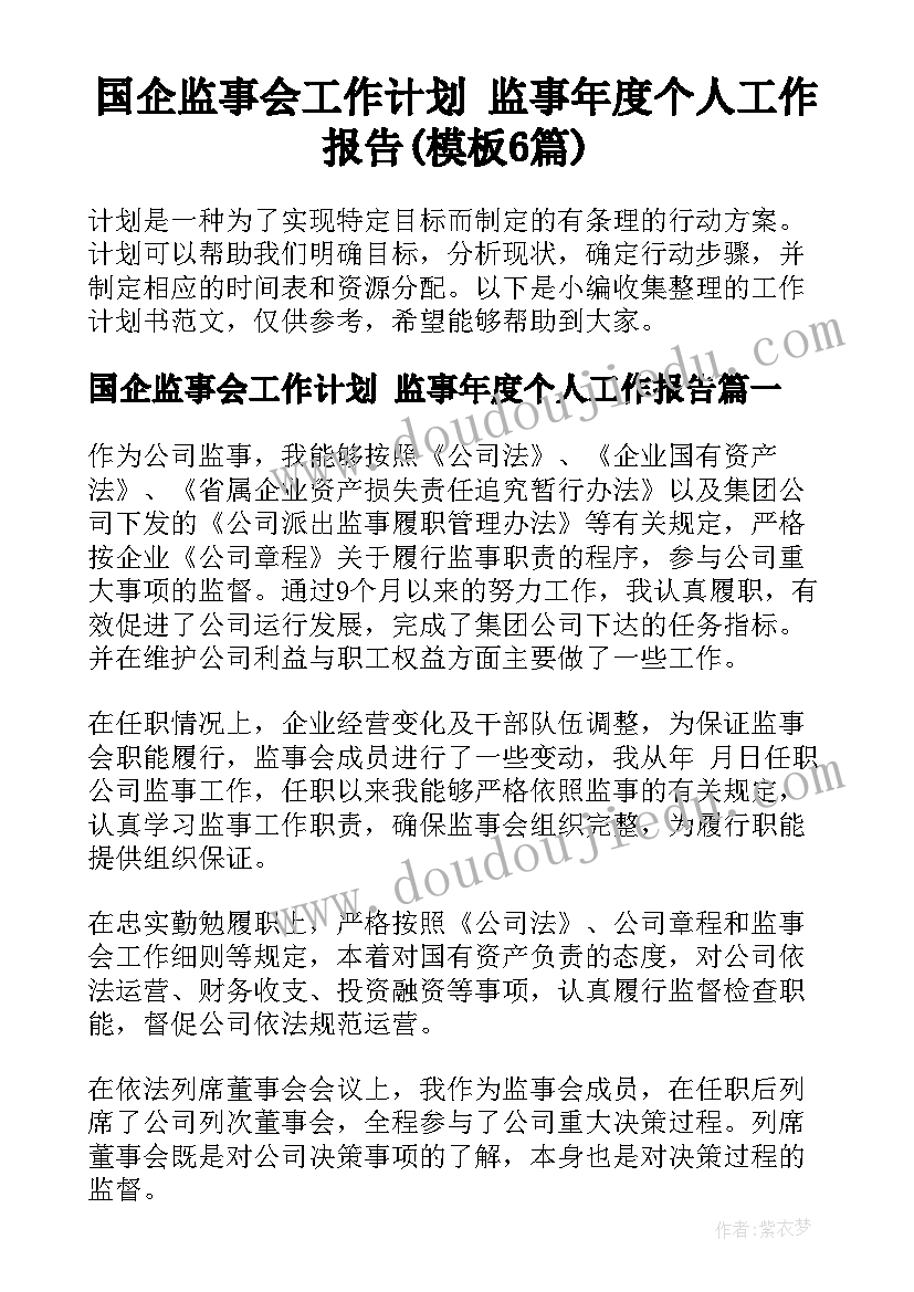 国企监事会工作计划 监事年度个人工作报告(模板6篇)