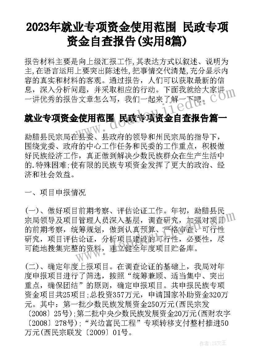 2023年就业专项资金使用范围 民政专项资金自查报告(实用8篇)