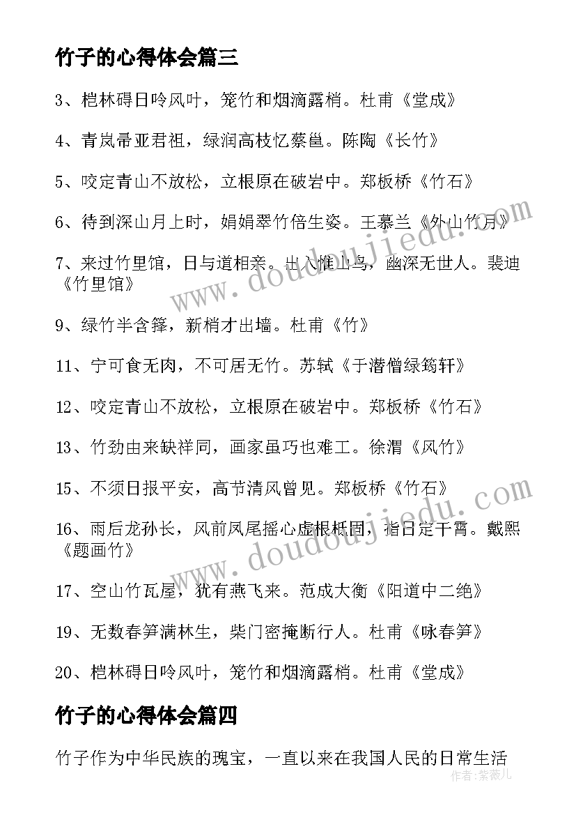 2023年竹子的心得体会 竹子的说明文(模板6篇)