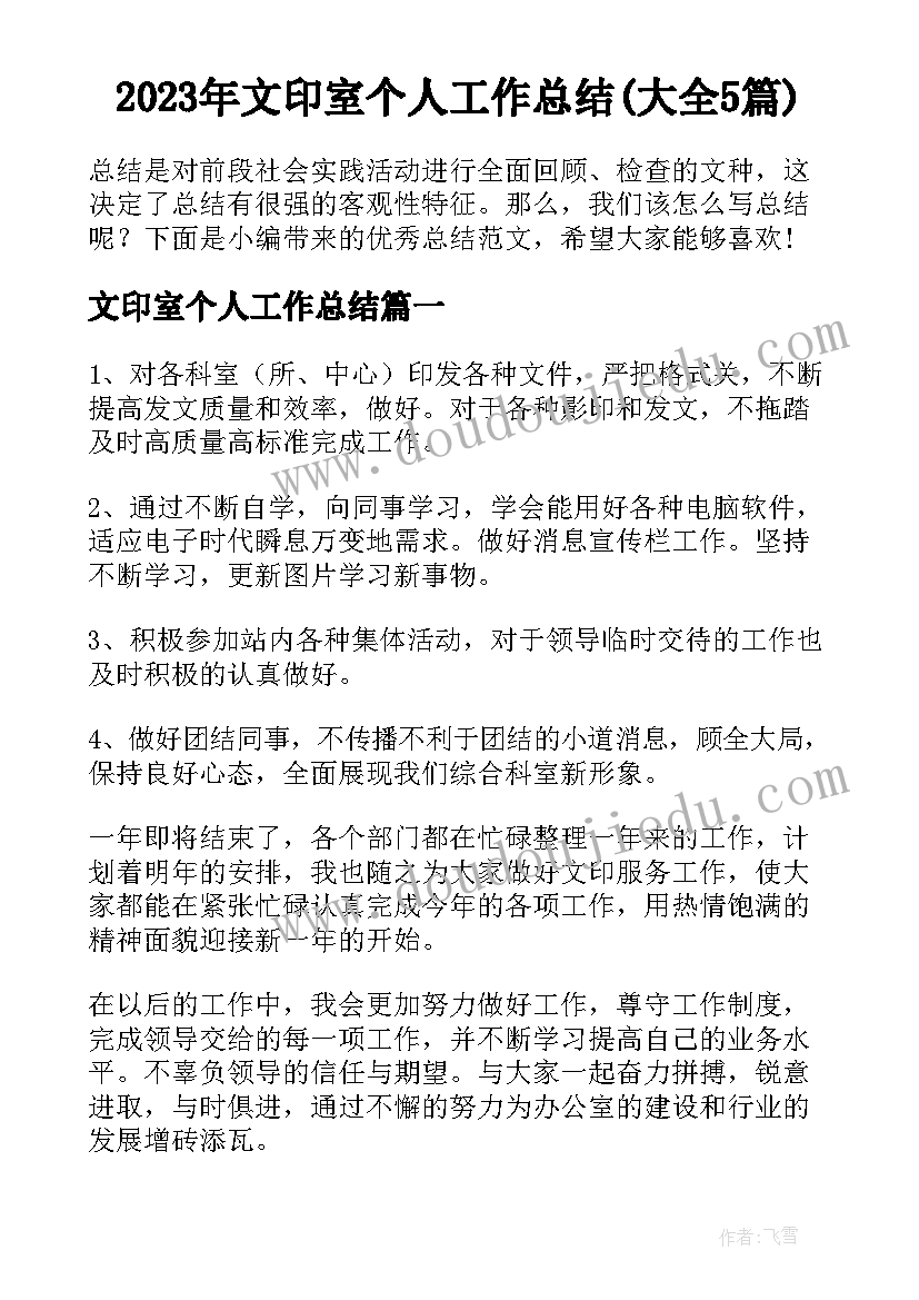 2023年文印室个人工作总结(大全5篇)