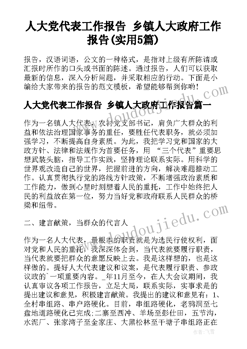 人大党代表工作报告 乡镇人大政府工作报告(实用5篇)