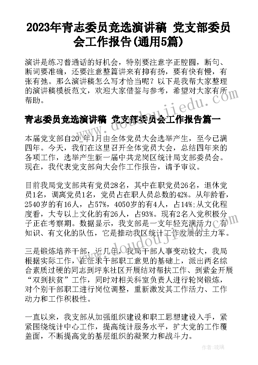 2023年青志委员竞选演讲稿 党支部委员会工作报告(通用5篇)