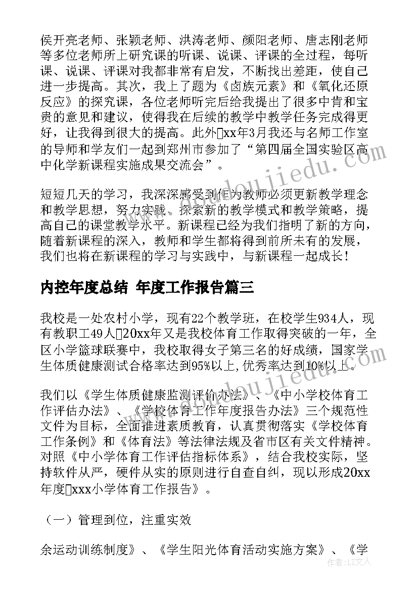 最新内控年度总结 年度工作报告(模板7篇)