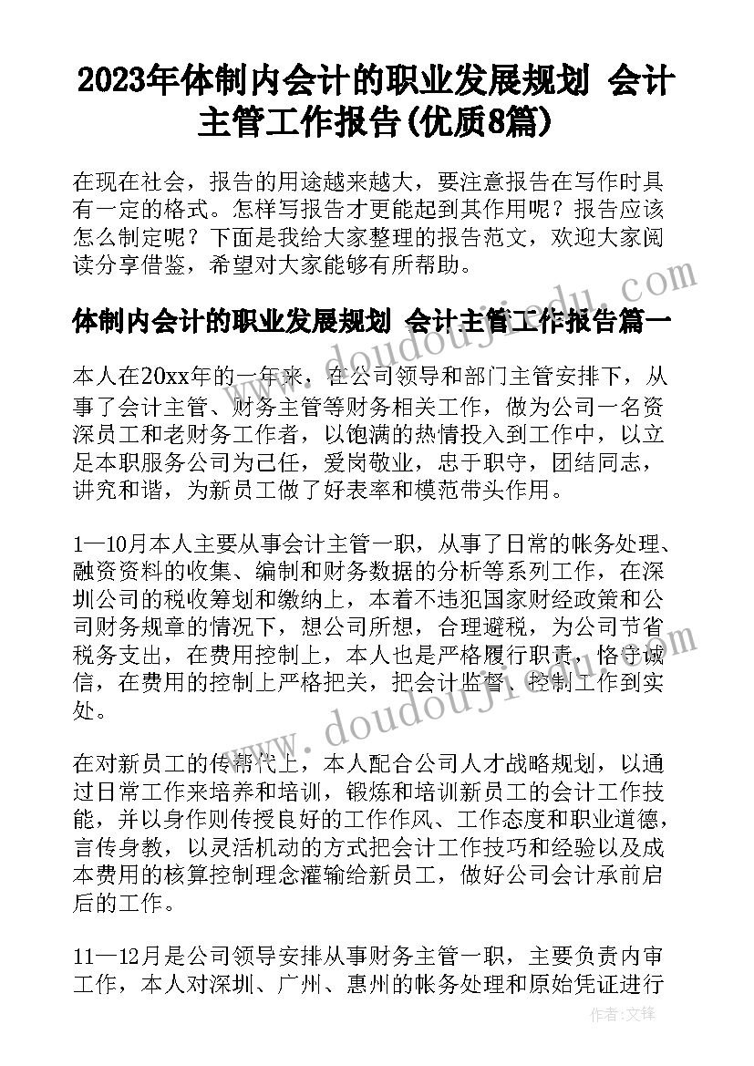 2023年体制内会计的职业发展规划 会计主管工作报告(优质8篇)