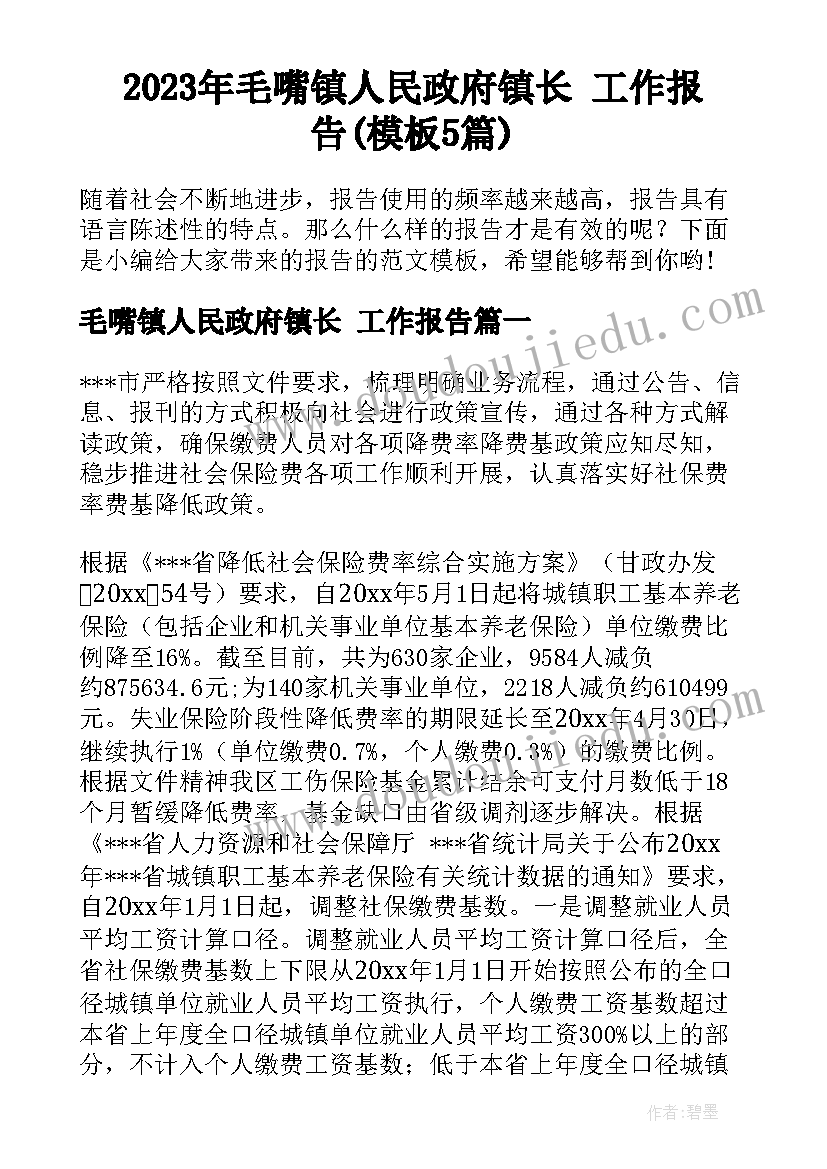 2023年毛嘴镇人民政府镇长 工作报告(模板5篇)