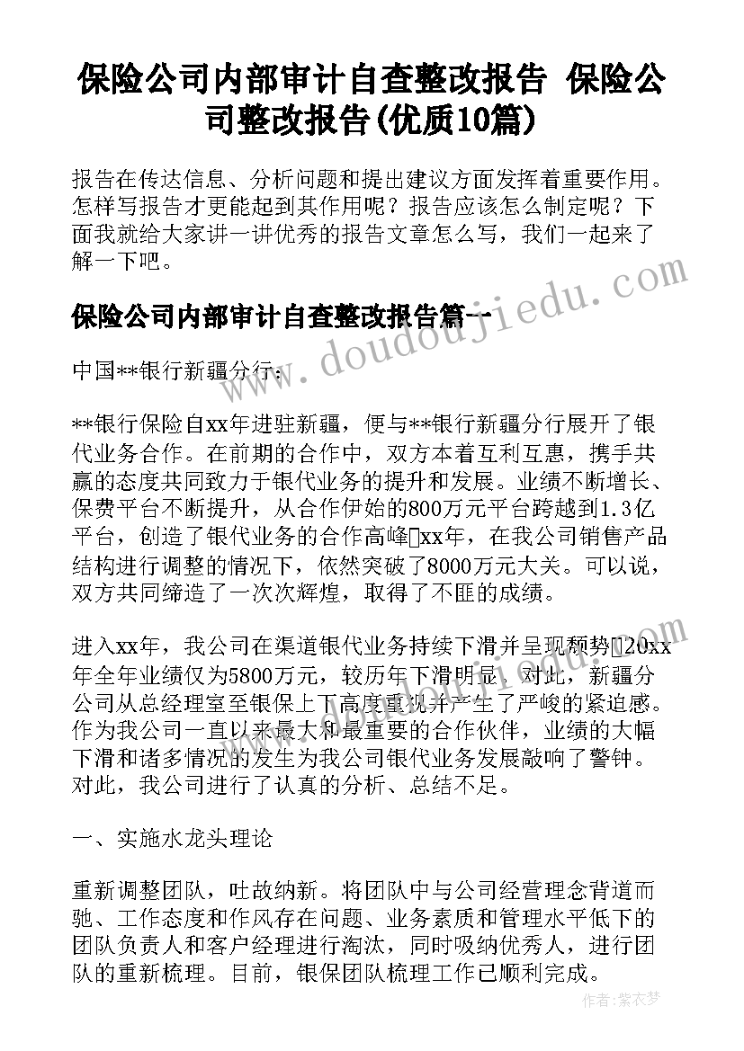 保险公司内部审计自查整改报告 保险公司整改报告(优质10篇)