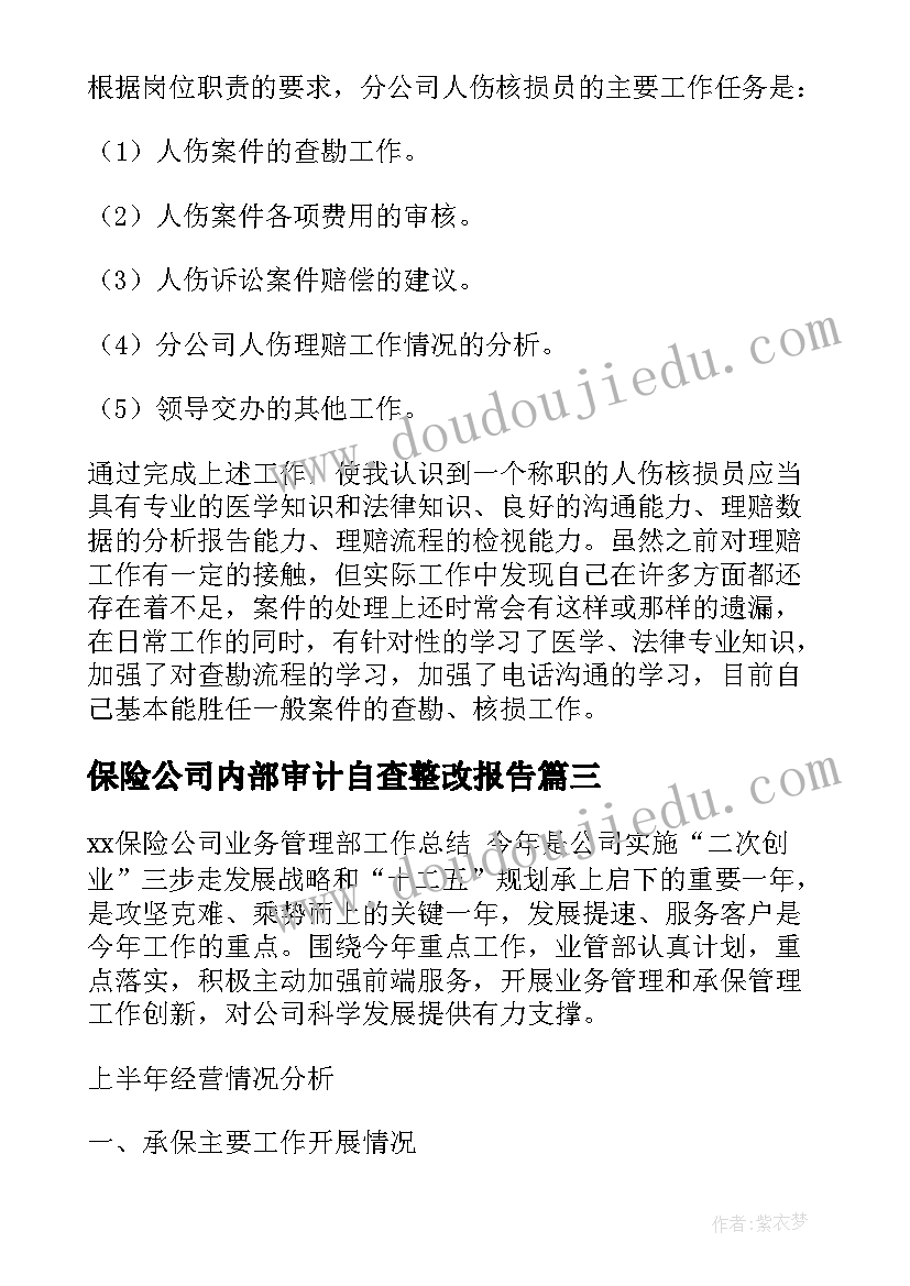 保险公司内部审计自查整改报告 保险公司整改报告(优质10篇)