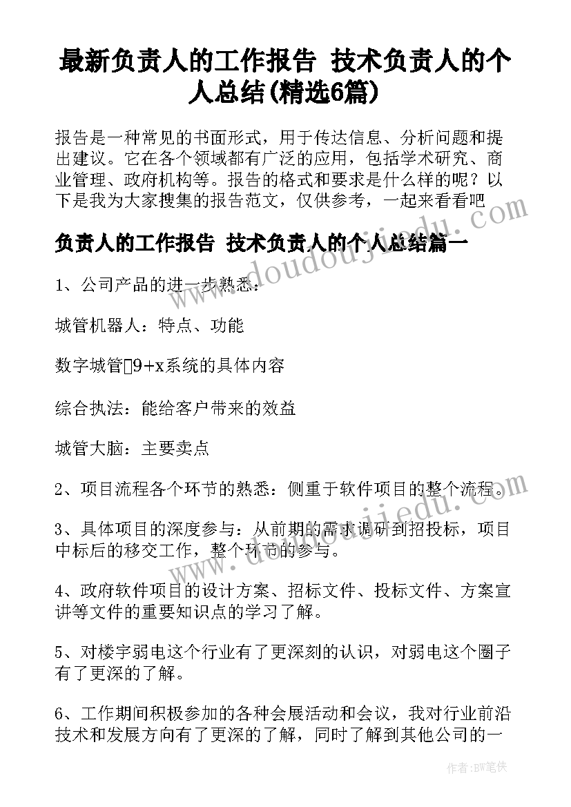 最新负责人的工作报告 技术负责人的个人总结(精选6篇)