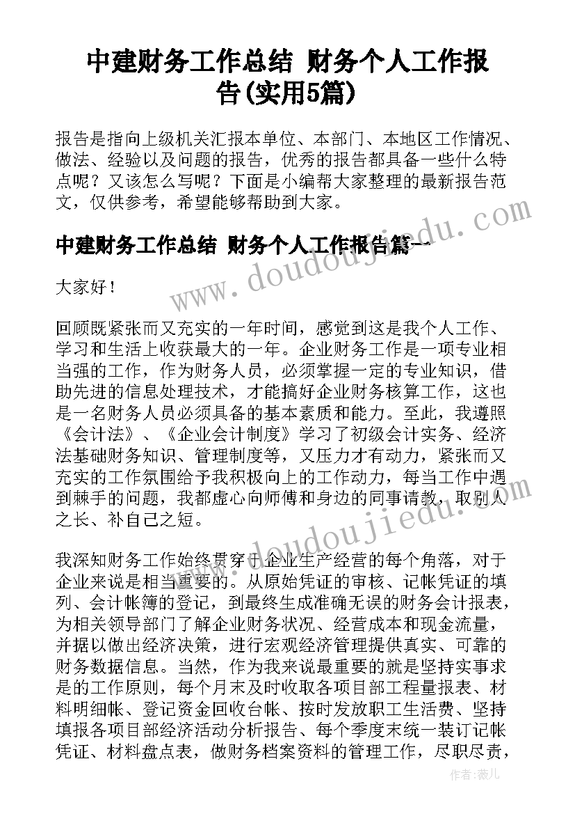 中建财务工作总结 财务个人工作报告(实用5篇)