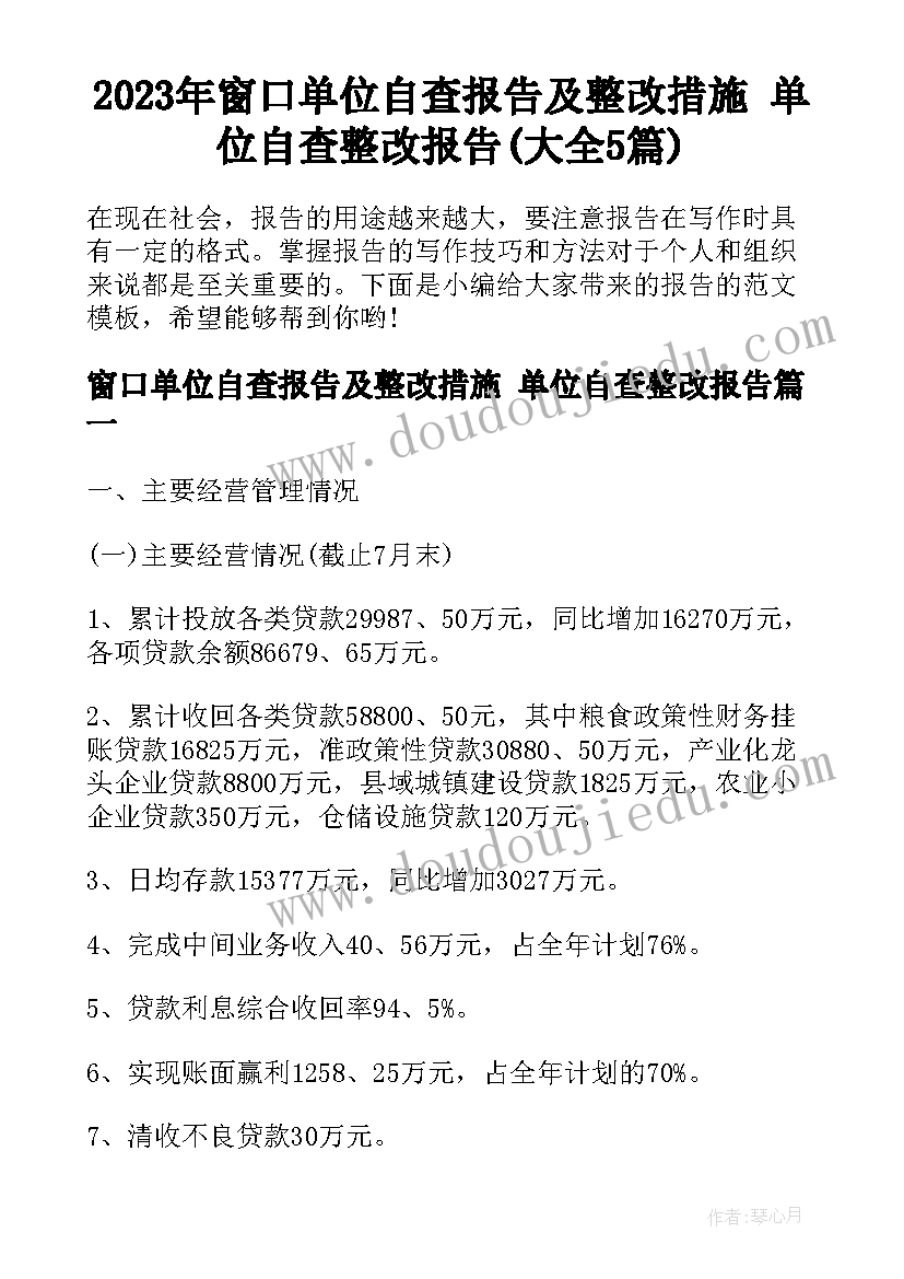 2023年窗口单位自查报告及整改措施 单位自查整改报告(大全5篇)