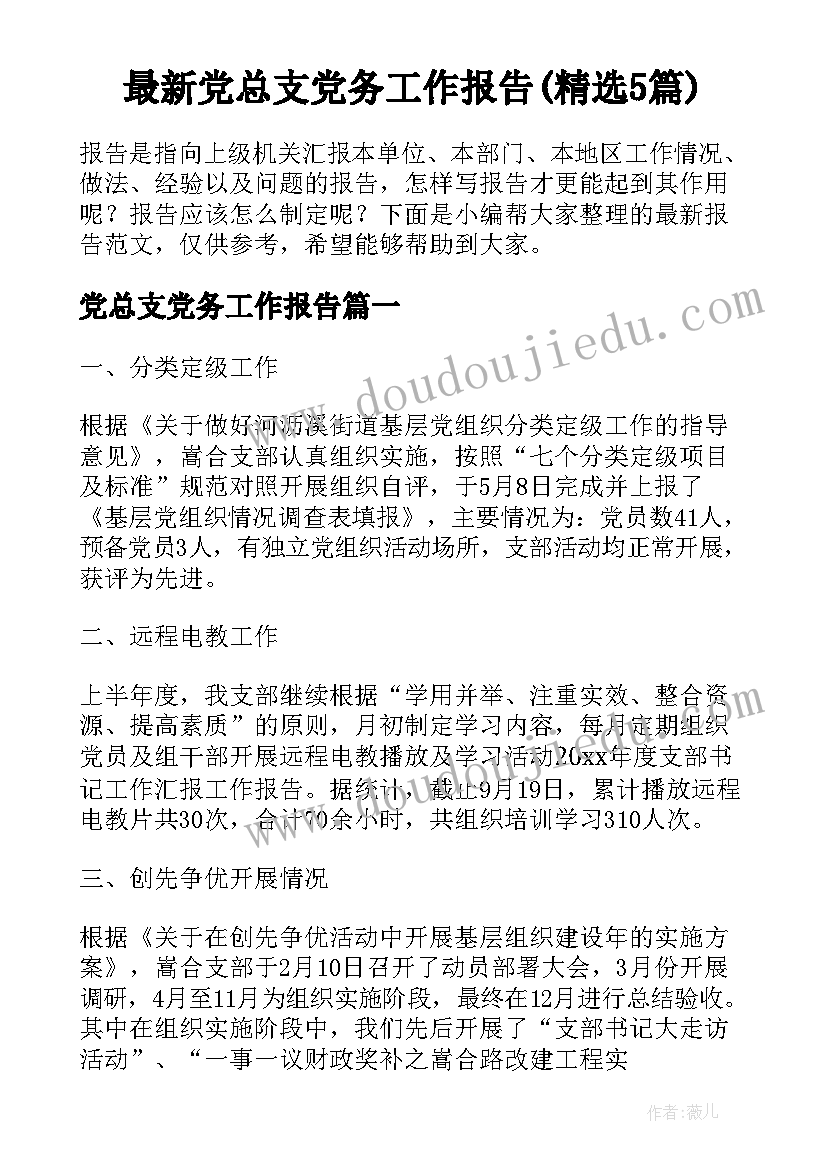 最新党总支党务工作报告(精选5篇)