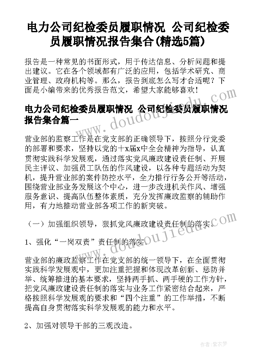 电力公司纪检委员履职情况 公司纪检委员履职情况报告集合(精选5篇)