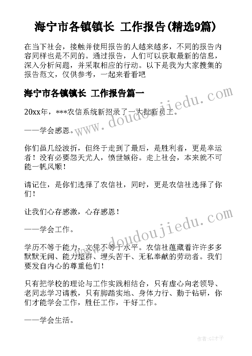 海宁市各镇镇长 工作报告(精选9篇)