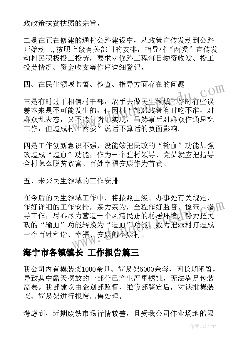 海宁市各镇镇长 工作报告(精选9篇)