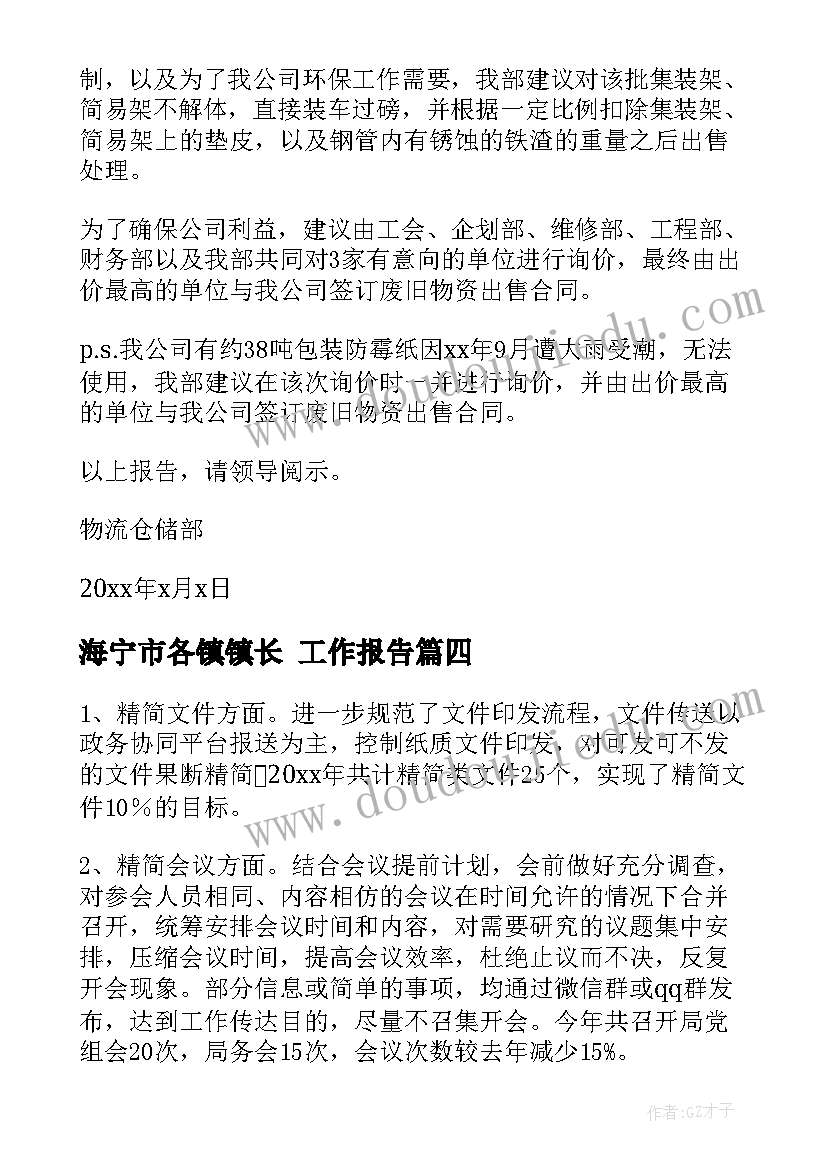 海宁市各镇镇长 工作报告(精选9篇)