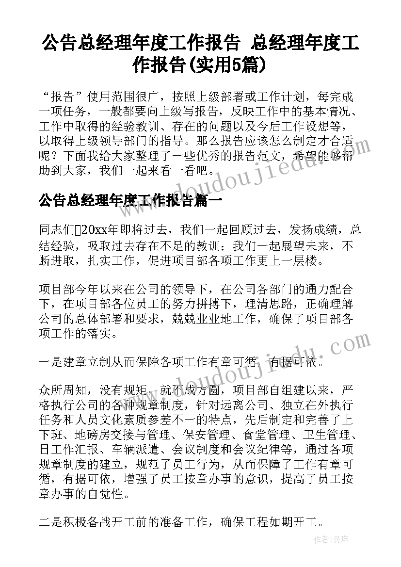 公告总经理年度工作报告 总经理年度工作报告(实用5篇)