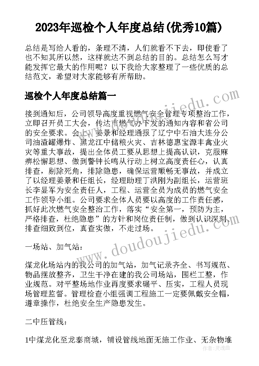 2023年巡检个人年度总结(优秀10篇)