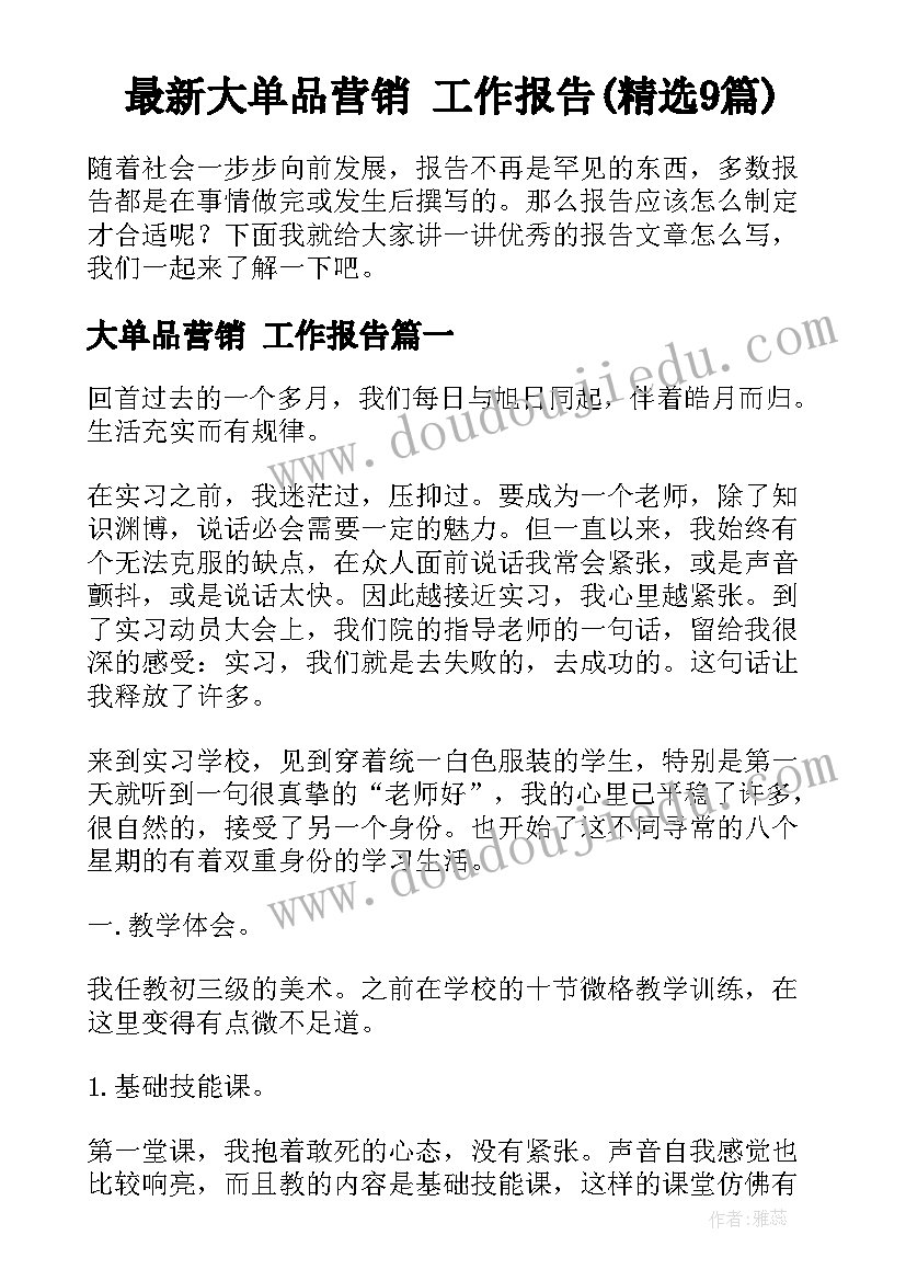 最新大单品营销 工作报告(精选9篇)