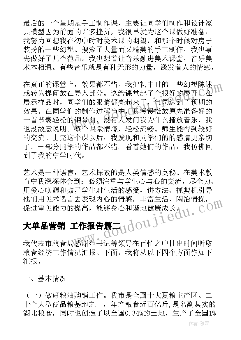 最新大单品营销 工作报告(精选9篇)