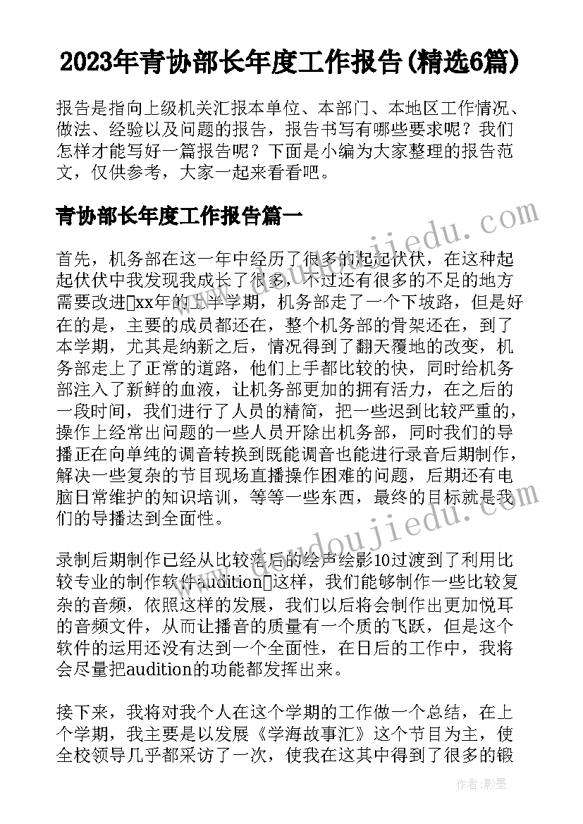 2023年青协部长年度工作报告(精选6篇)