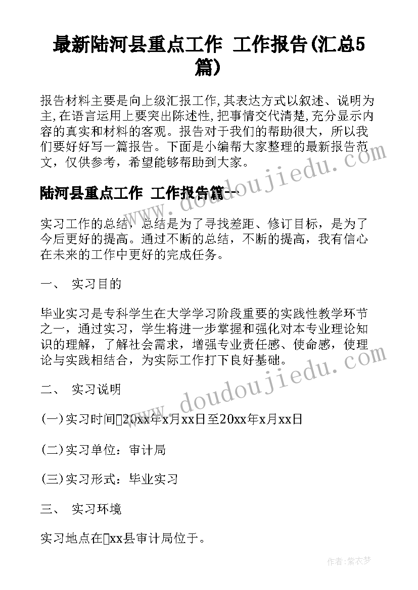 最新陆河县重点工作 工作报告(汇总5篇)