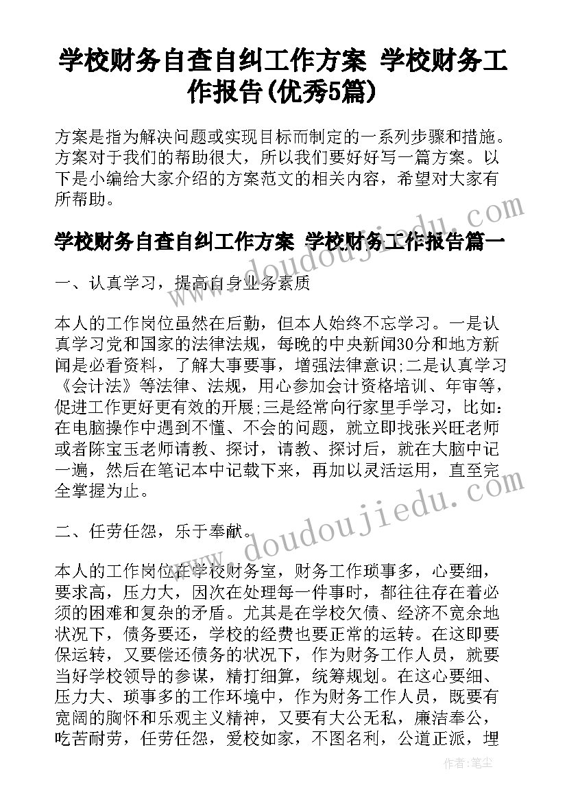 学校财务自查自纠工作方案 学校财务工作报告(优秀5篇)