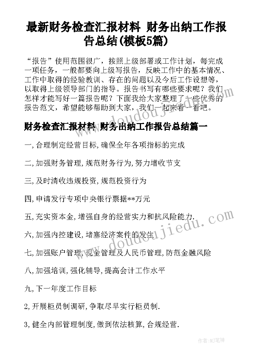 最新财务检查汇报材料 财务出纳工作报告总结(模板5篇)