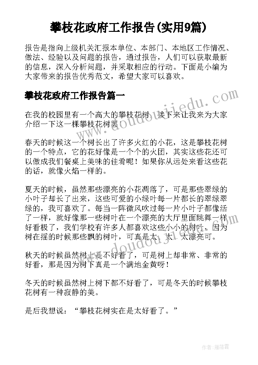 攀枝花政府工作报告(实用9篇)