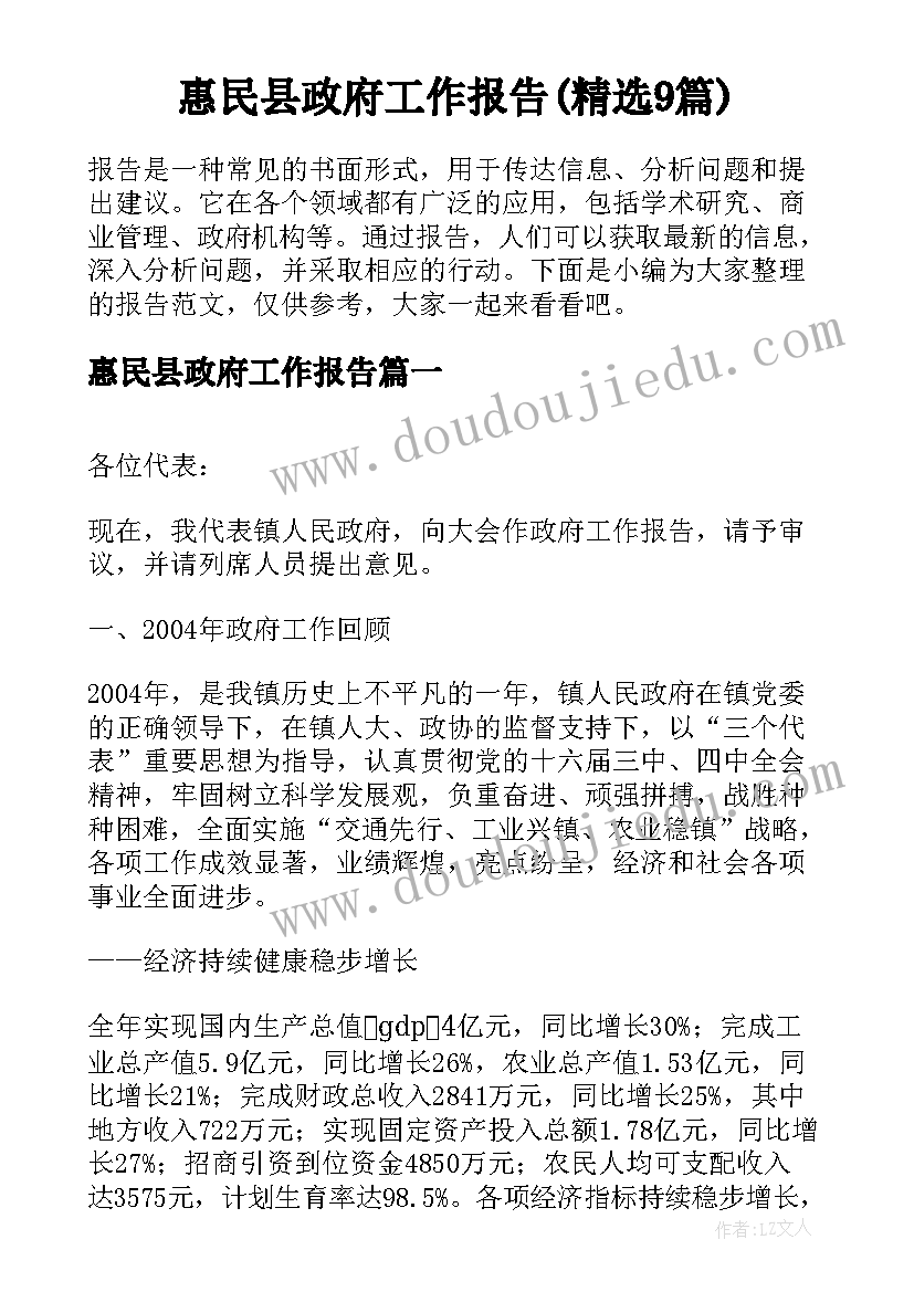 惠民县政府工作报告(精选9篇)