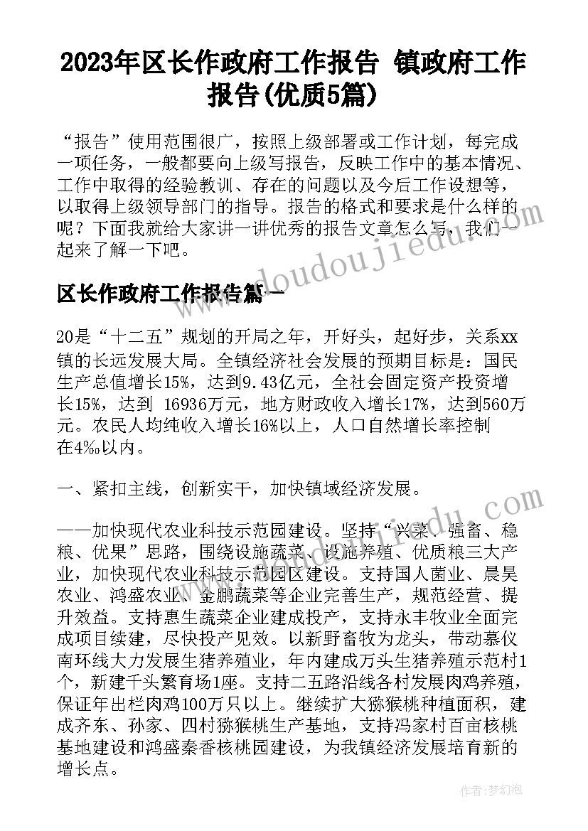 2023年区长作政府工作报告 镇政府工作报告(优质5篇)