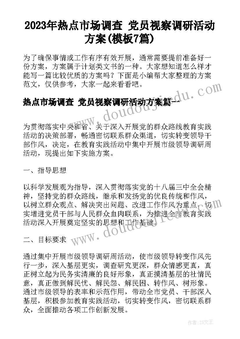 2023年热点市场调查 党员视察调研活动方案(模板7篇)